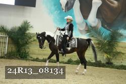 24R13_08134 thumbnail