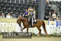 24R13_08168 thumbnail