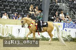 24R13_08174 thumbnail