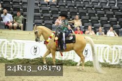 24R13_08179 thumbnail