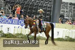 24R13_08182 thumbnail