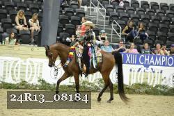 24R13_08184 thumbnail