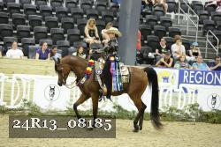24R13_08185 thumbnail