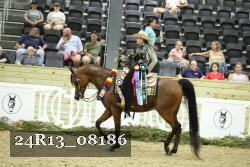 24R13_08186 thumbnail