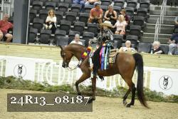 24R13_08187 thumbnail