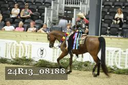 24R13_08188 thumbnail