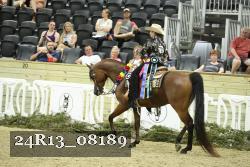 24R13_08189 thumbnail