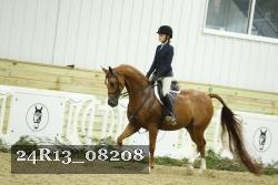 24R13_08208 thumbnail