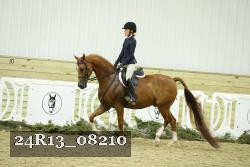 24R13_08210 thumbnail