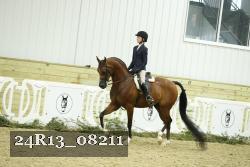 24R13_08211 thumbnail