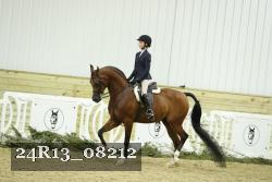 24R13_08212 thumbnail