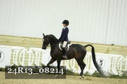24R13_08214 thumbnail