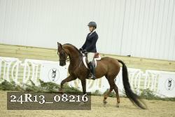 24R13_08216 thumbnail