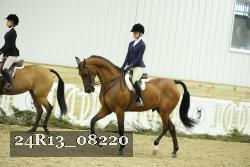24R13_08220 thumbnail