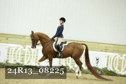 24R13_08225 thumbnail