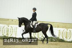 24R13_08227 thumbnail