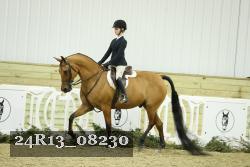 24R13_08230 thumbnail