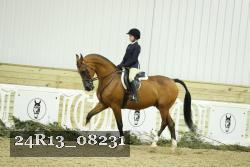 24R13_08231 thumbnail
