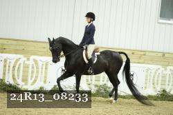 24R13_08233 thumbnail