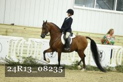 24R13_08235 thumbnail
