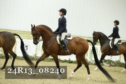 24R13_08240 thumbnail