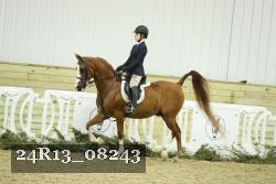 24R13_08243 thumbnail