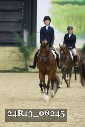 24R13_08245 thumbnail