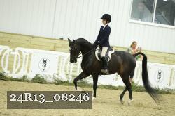 24R13_08246 thumbnail