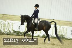 24R13_08247 thumbnail