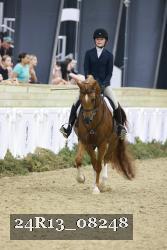 24R13_08248 thumbnail