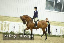 24R13_08250 thumbnail