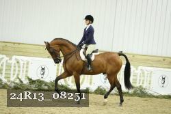 24R13_08251 thumbnail