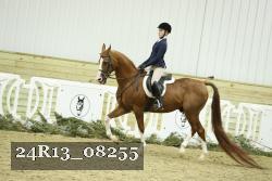 24R13_08255 thumbnail