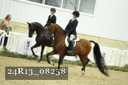 24R13_08258 thumbnail