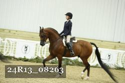 24R13_08263 thumbnail