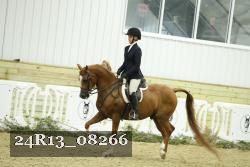 24R13_08266 thumbnail