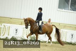 24R13_08269 thumbnail