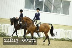 24R13_08271 thumbnail