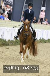 24R13_08273 thumbnail