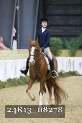 24R13_08278 thumbnail
