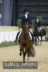 24R13_08281 thumbnail