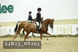 24R13_08294 thumbnail