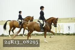 24R13_08295 thumbnail