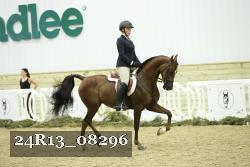 24R13_08296 thumbnail