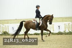 24R13_08297 thumbnail
