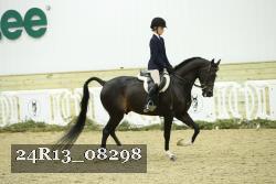 24R13_08298 thumbnail