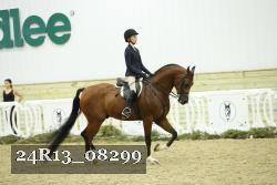 24R13_08299 thumbnail