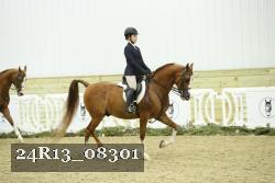 24R13_08301 thumbnail