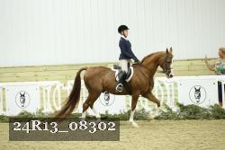24R13_08302 thumbnail