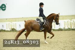 24R13_08303 thumbnail
